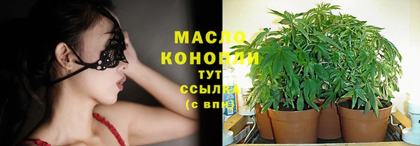 прущий лед Богданович