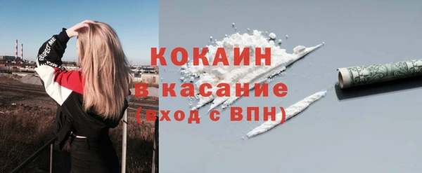 прущий лед Богданович