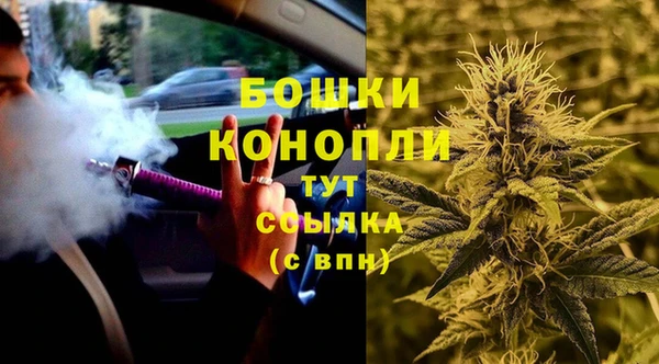 прущий лед Богданович