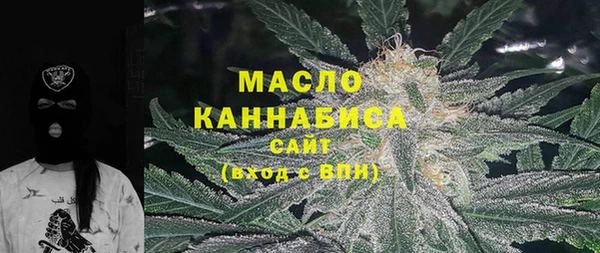 прущий лед Богданович