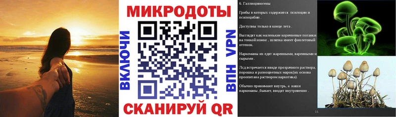 Галлюциногенные грибы MAGIC MUSHROOMS  купить  цена  Разумное 